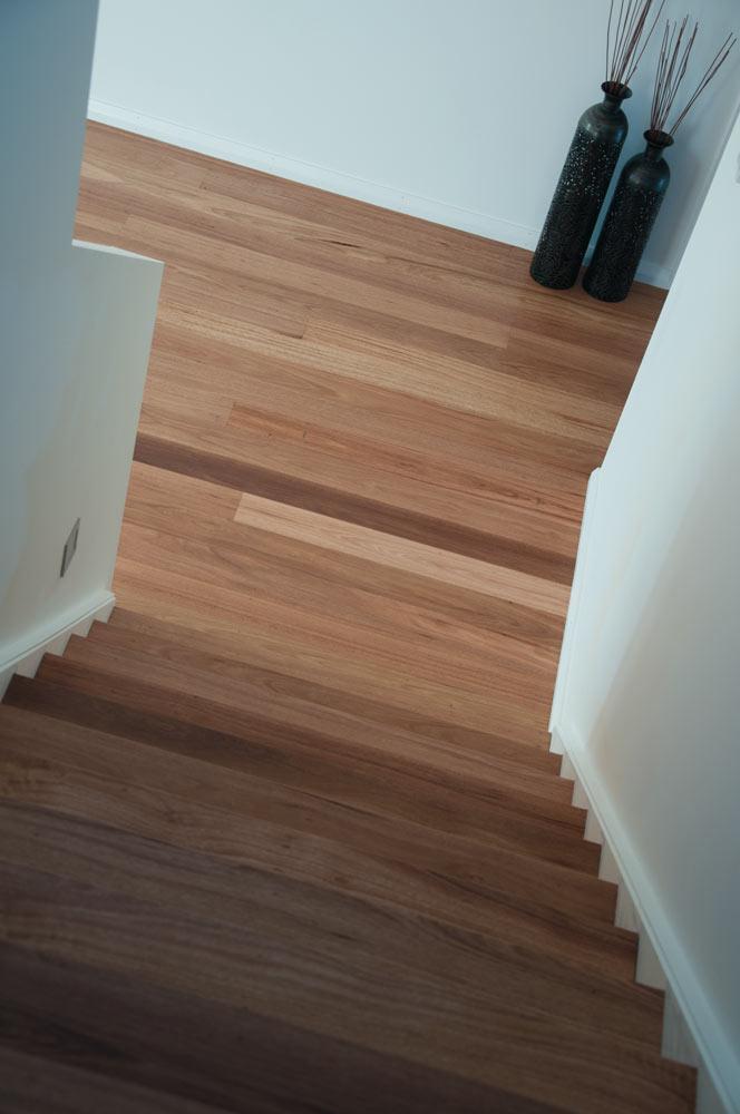 Silvertop Stringybark News