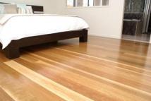Spotted Gum