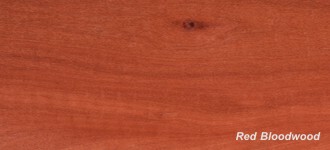 More about Red Bloodwood