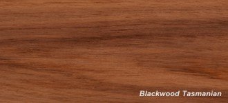 tasmanian blackwood timber species